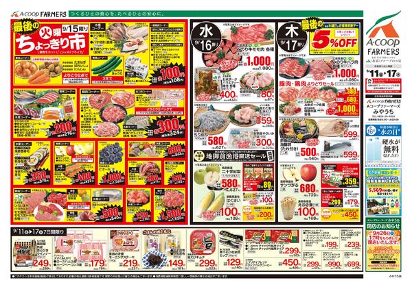 9月11日～9月17日-2