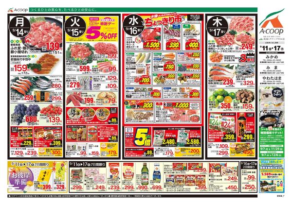 9月11日～9月17日-2