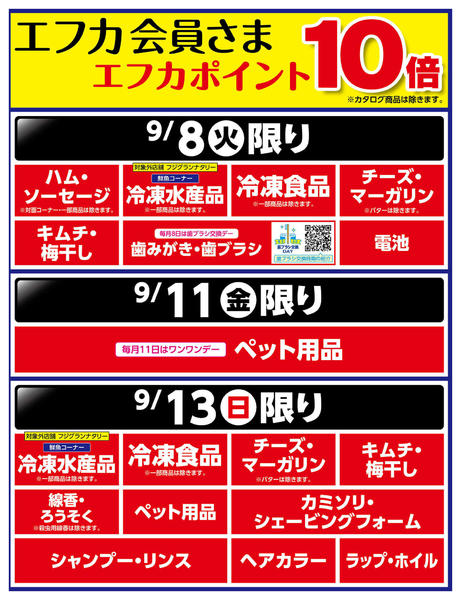 2026年9月8日〜13日まで-1