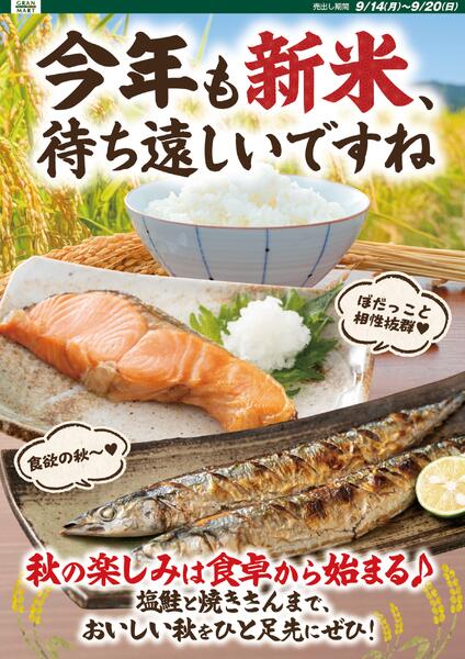 今日のチラシ-2
