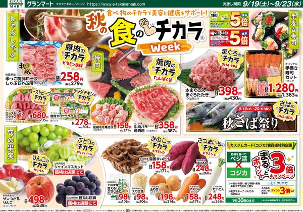 今日のチラシnew-1