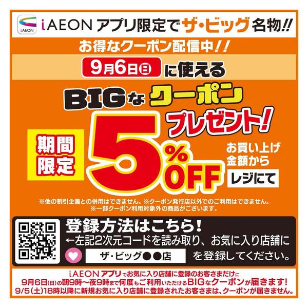 ザ・ビッグ中津上如水店のチラシ｜最新の特売・セール情報【チラシガイド】