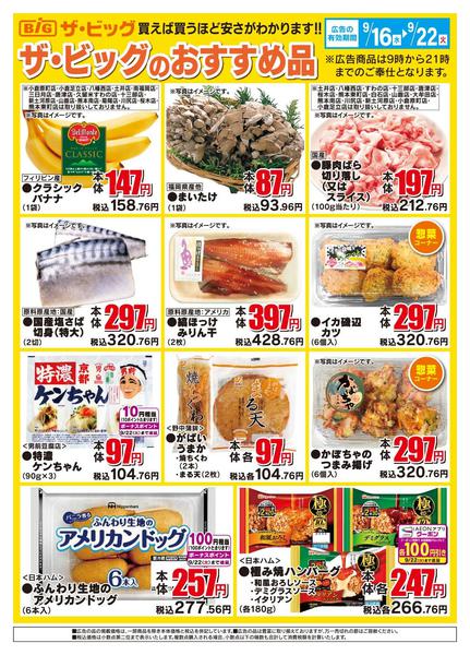 2026年9月16日〜22日までザ・ビッグのおすすめ品-1