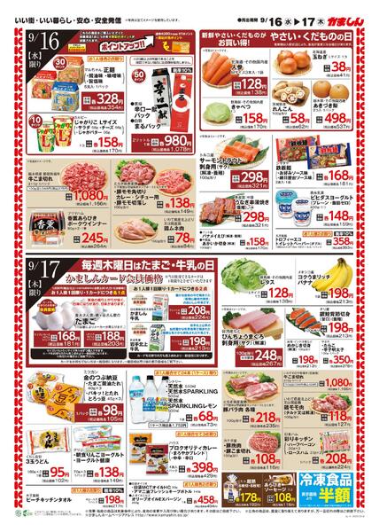 最新チラシnew-2
