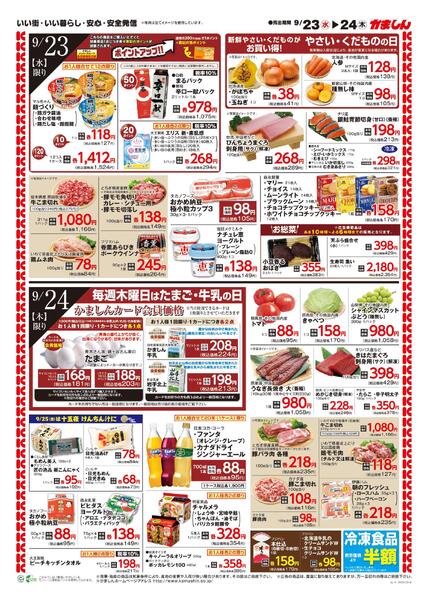最新チラシ-2