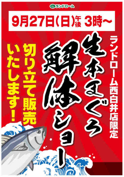 2026年9月5日〜27日まで【西白井店】限定🐟マグロ解体ショー開催-1