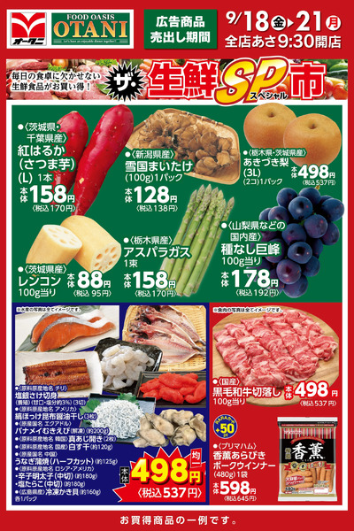 ザ・生鮮SP市9月18日～9月21日-2