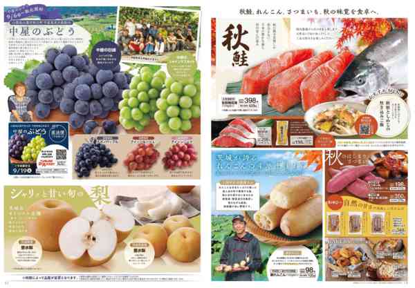 2026年9月1日〜30日まで-2