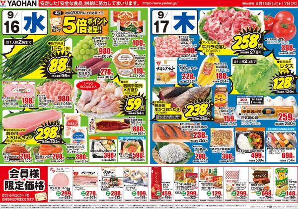 最新チラシnew-2