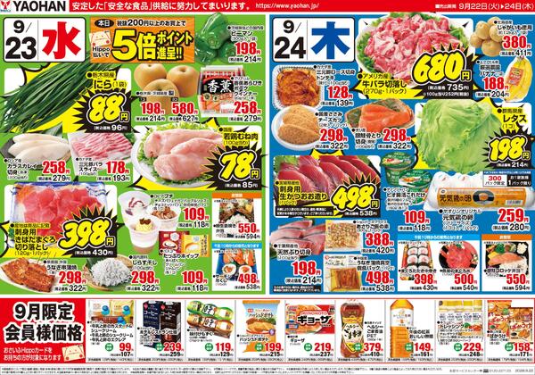 最新チラシ-2