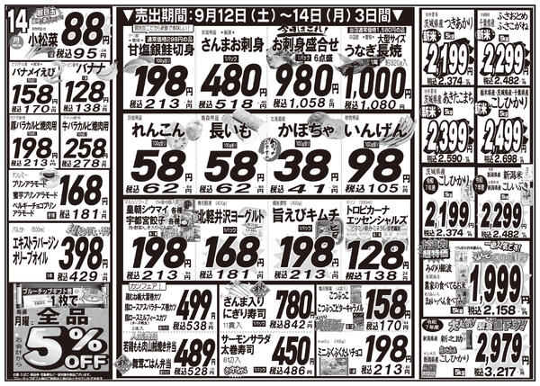 最新チラシnew-2