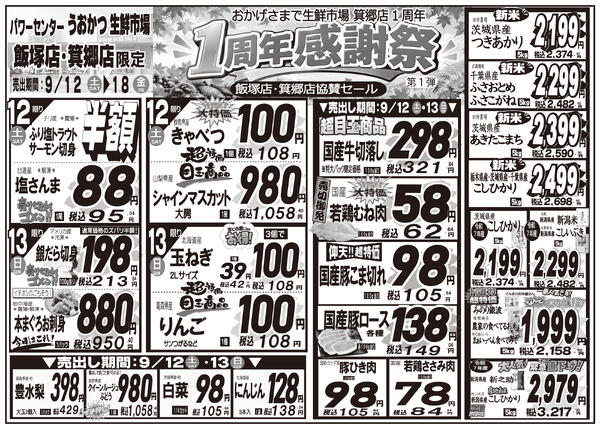 最新チラシnew-3