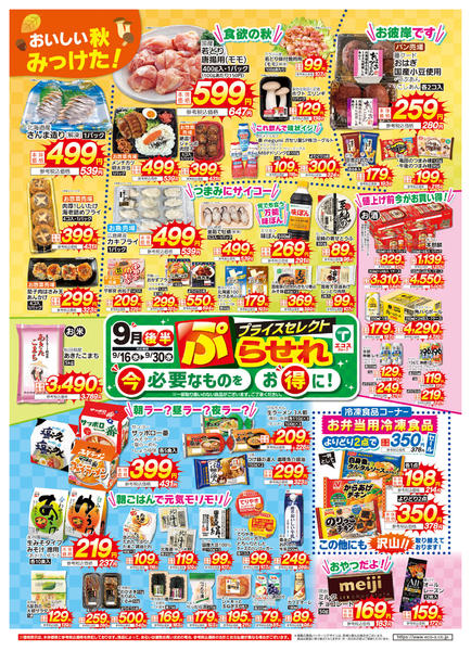 2026年9月16日〜30日まで９月後半プライスセレクトnew-1