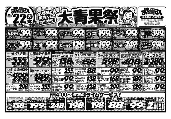 レギュラーチラシ-1