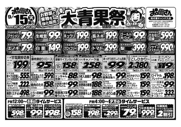 レギュラーチラシnew-1