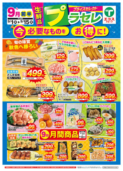 9月前半生鮮品プラセレ（ココスナカムラ）-1