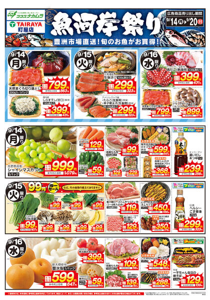 9月14日号魚河岸祭り（ココスナカムラ）-1