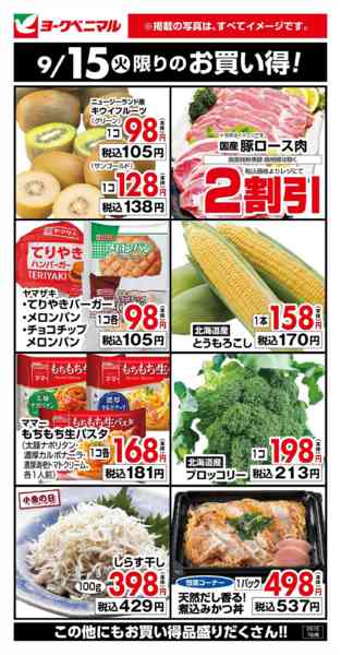2026年9月15日限り9/15限りのお買い得！new-1