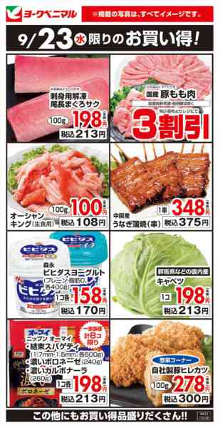 2026年9月23日限り9/23限りのお買い得！new-1