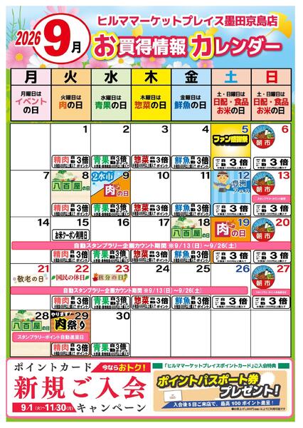最新チラシ-2