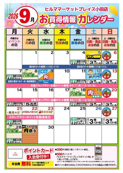 最新チラシ-2