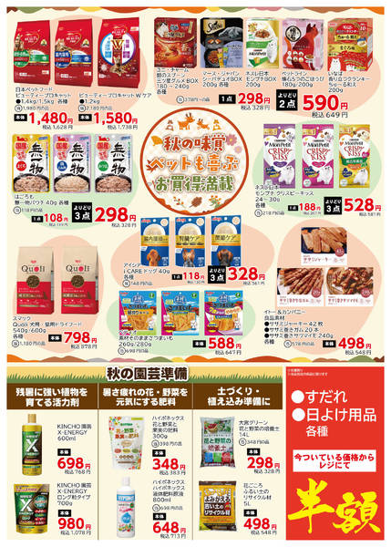 2026年9月3日〜10月8日まで-2