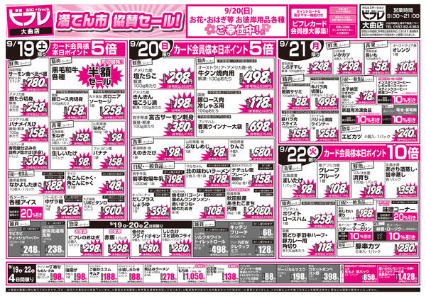 最新チラシnew-2