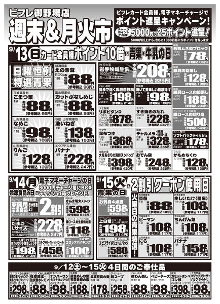 最新チラシ-2