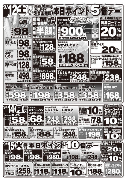 最新チラシ-2