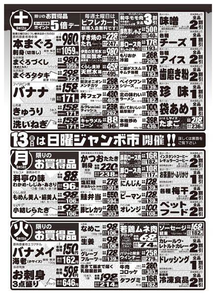 最新チラシ-2
