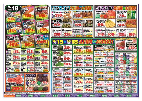 最新チラシnew-2