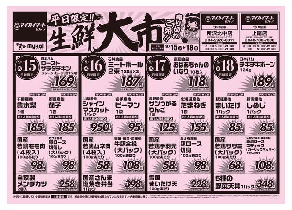 折り込みチラシnew-1