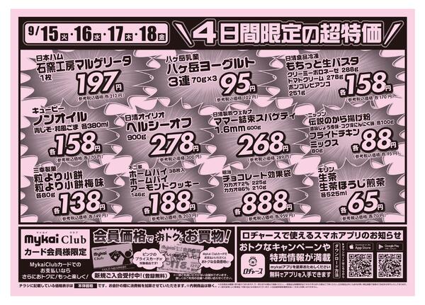 折り込みチラシnew-2