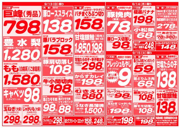 最新チラシ-4