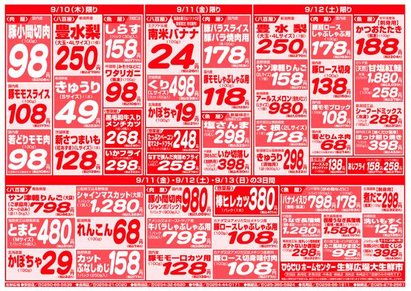 最新チラシ-3