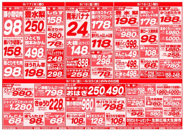 最新チラシ-3
