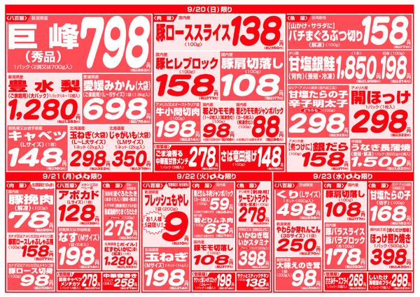 最新チラシ-4