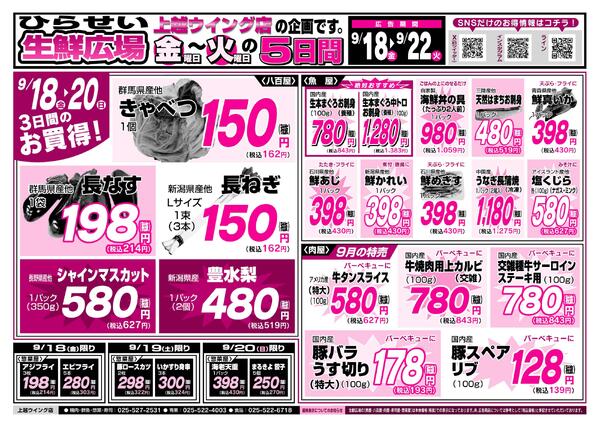 最新チラシ-5