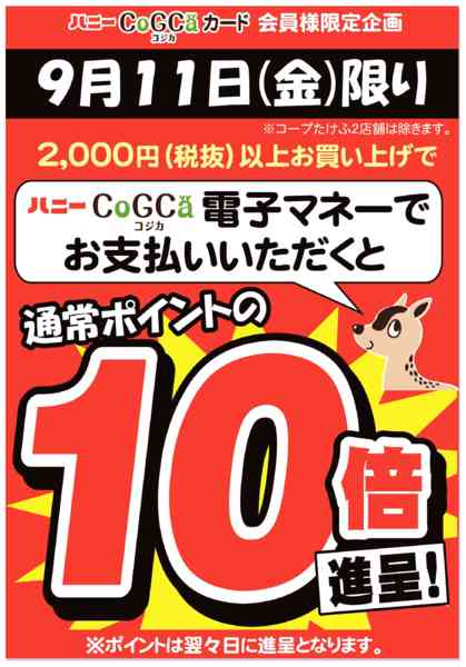 2026年9月11日限りnew-1