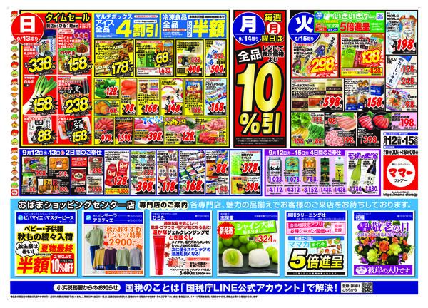 最新チラシ-2