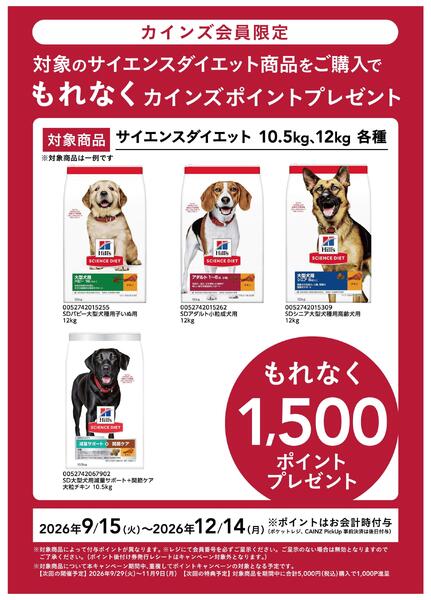 ヒルズポイントバックCP_9/15号new-1