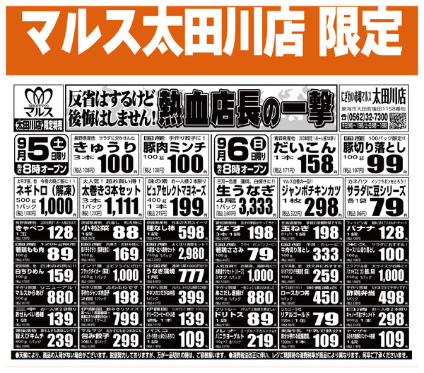 最新チラシ-2