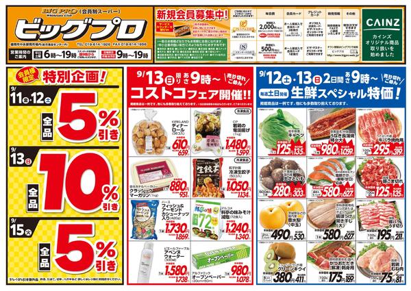 ビッグプロ-1
