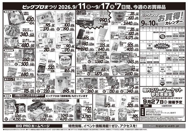 ビッグプロ-2