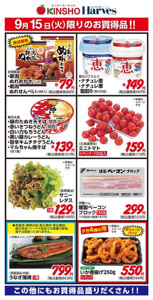 9/15限りのお買得品！new-1