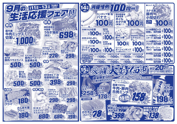 9月11日(金)～9月15日(火)の新聞チラシ-2