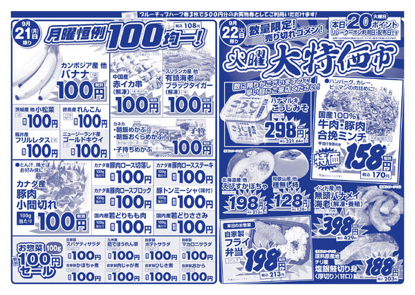 9月18日(金)～9月22日(火)の新聞チラシ-2