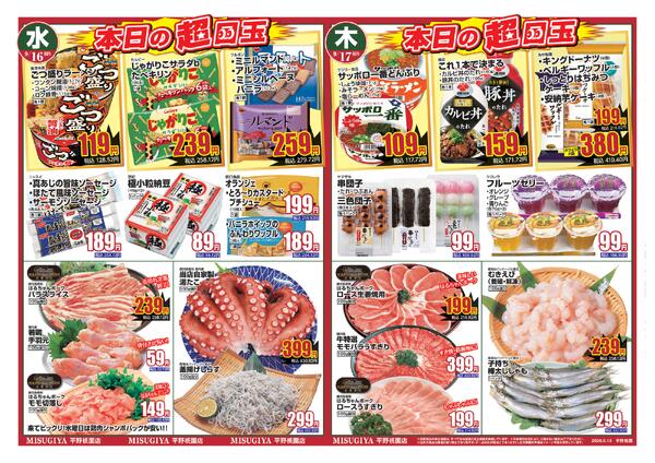 レギュラーチラシnew-2