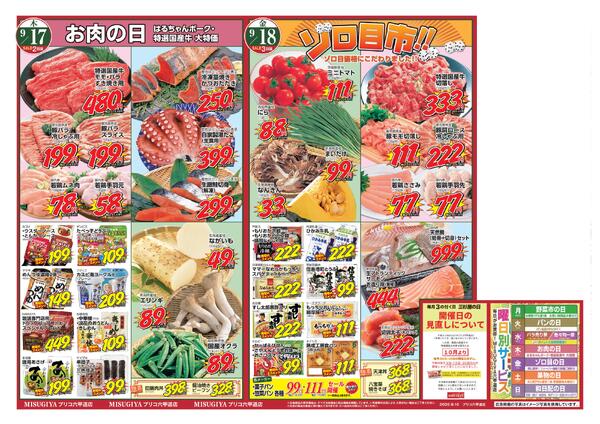 レギュラーチラシnew-2
