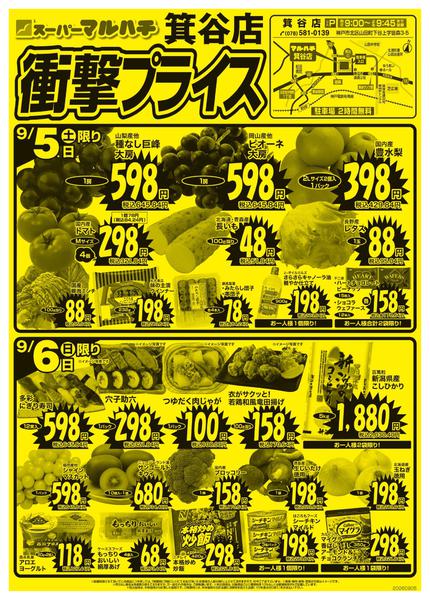 2026年9月5日〜30日まで衝撃プライス！-1